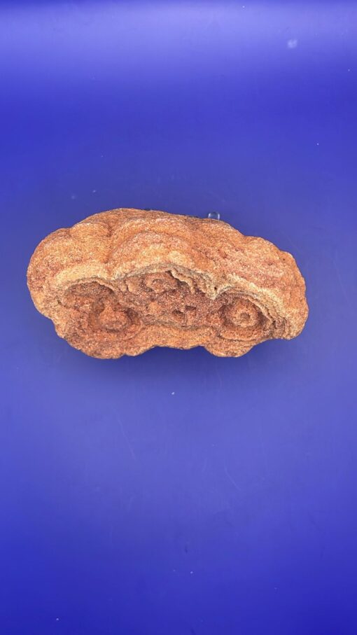 Stromatolite