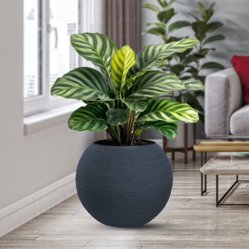 Vaso in resina da esterno interno per piante tondo a sfera di design d.40x33h Botticelli Grigio - immagine 2