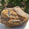 Septaria Grezza Marocco