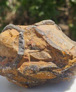 Septaria Grezza Marocco