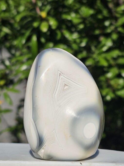 Agata Orca Freeform