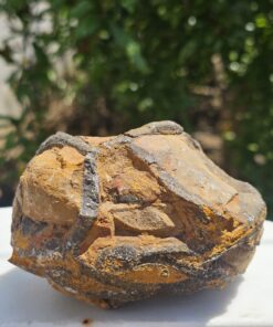 Septaria Grezza Marocco - B